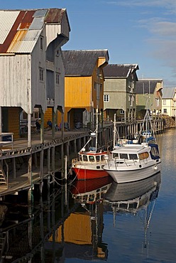 The colorful houses and boats of Nyksund on the Norwegian Sea on the island of Langoya, Langoya, part of the VesterÃ‚len, Vesteralen archipelago, Nordland, Norway, Europe