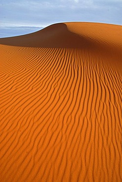 The sand dunes of Erg Chebbi at the western edge of the Sahara desert, Meknes-Tafilalet, Morocco, Africa