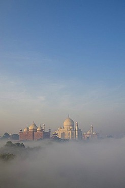 Taj Mahal, UNESCO World Heritage Site, arising out of the morning fog over river Yamuna, Agra, Uttar Pradesh, India, Asia