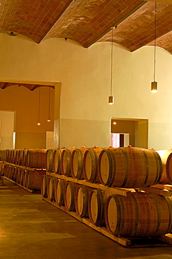 Wine barrels, Chianti, Castello di Brolio cellar, Brolio Castle Cellar, Ricasoli Vineyard, Siena Province, Tuscany, Italy, Europe