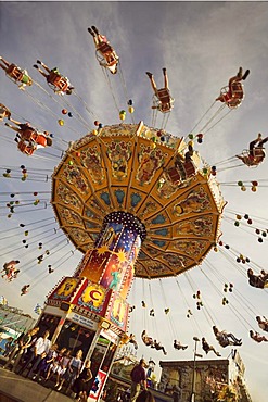 Chair swing ride or Chair-O-Planes, Oktoberfest, Munich, Bavaria, Germany, Europe