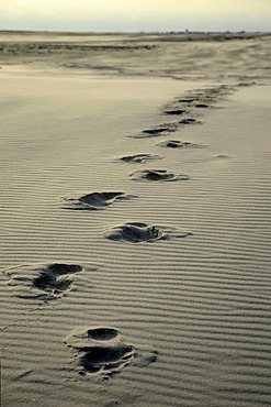 Footprints in the sand, Kniepsand beach, Amrum Island, Nordfriesland, North Frisia, Schleswig-Holstein, Germany, Europe