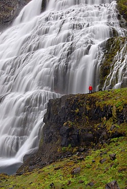 Woman standing in front of the Dynjandifoss or Fjallfoss waterfall, largest waterfall in the West Fjords, Northwest Iceland, Iceland, Europe