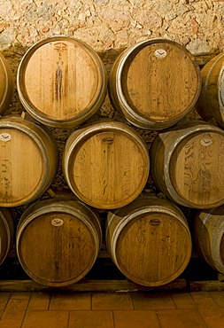 Wine aging in oak barrels in wine cellar in Chianti, Toscana, Tuscany, Italy, Europe