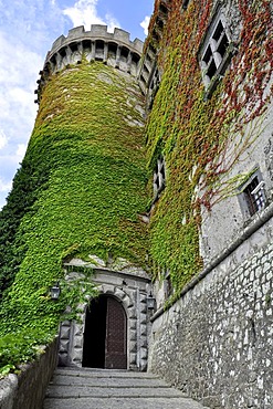 Castello Odescalchi, fortress, portal, bastion covered in ivy (Hedera helix), Bracciano, Lazio, Italy, Europe