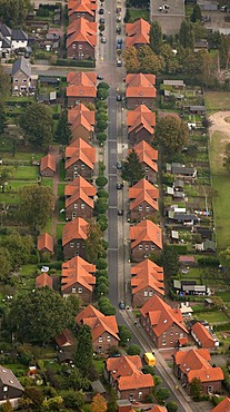 Aerial view, colliery settlement, miners' houses, Ludwig-Richter-Strasse, Bottrop, Ruhr Area, North Rhine-Westphalia, Germany, Europe