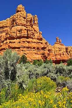 Claron rock formation, Dixie National Forest, Utah, USA, North America