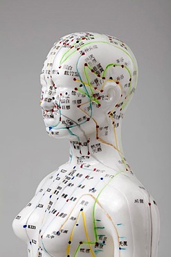 Acupuncture, a female model with marked acupuncture points labeled with Chinese characters on the meridians, detail head and torso, traditional Chinese medicine, TCM, the body's energy flow, Qi