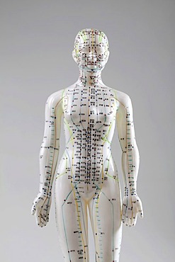 Acupuncture, a female model with marked acupuncture points labeled with Chinese characters on the meridians, traditional Chinese medicine, TCM, the body's energy flow, Qi