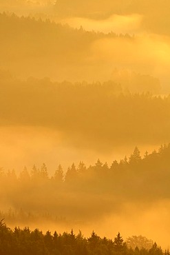 Fog over Nassen Grund, Elbe Sandstone Mountains, Saxony, Germany, Europe