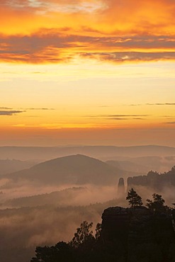 Fog over Nassen Grund, Elbe Sandstone Mountains, Saxony, Germany, Europe