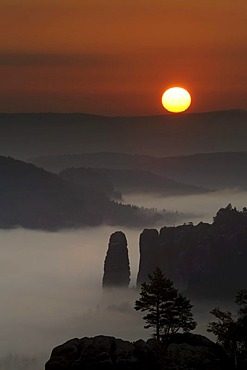 Fog in the Elbe Sandstone Mountains, sunrise over Blossstock rock, Saxony, Germany, Europe