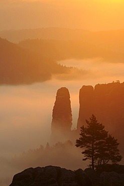 Blossstock rock in fog, Elbe Sandstone Mountains, Saxony, Germany, Europe