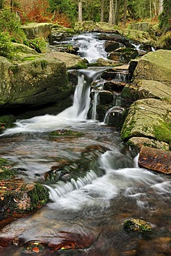 Unterer Bodefall waterfall in autumn, Braunlage, Lower Saxony, Germany, Europe