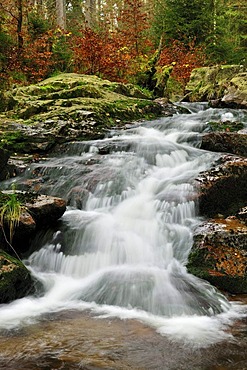 Unterer Bodefall waterfall in autumn, Braunlage, Lower Saxony, Germany, Europe