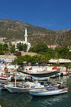 Excursion boat, Guellet-boats in the harbour of Kalkan, south coast, Turkey