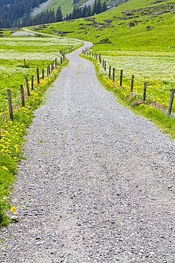 Gravel road, Alpsteingebirge mountains, Canton St. Gallen, Switzerland, Europe