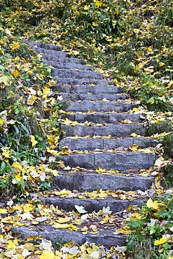 Stone steps at the Urach waterfall, Bad Urach, Swabian Alb, Reutlingen district, Baden-Wuerttemberg, Germany, Europe