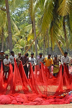 Fishermen holding a red fishing net, near Kasargod, Kerala, Malabar Coast, southern India, Asia