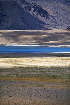 Tazang Tso, a high altitude salt lake, Changthang, Ladakh, Indian Himalayas, Jammu and Kashmir, northern India, India, Asia