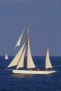 Sailing regatta during the Monaco Classic Week 2011 with historic sailing yachts, Monaco, Cote d'Azur, Mediterranean, Europe