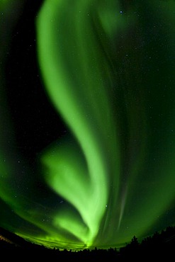 Swirling Northern lights, Polar Aurorae, Aurora Borealis, green, near Whitehorse, Yukon Territory, Canada