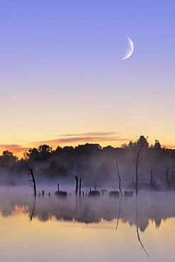 Moon above the Schwenninger Moos nature reserve, composite photograph, source of the Neckar River, Villingen-Schwenningen, Black Forest, Baden-Wuerttemberg, Germany, Europe