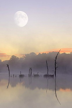 Moon above the Schwenninger Moos nature reserve, composite photograph, source of the Neckar River, Villingen-Schwenningen, Black Forest, Baden-Wuerttemberg, Germany, Europe