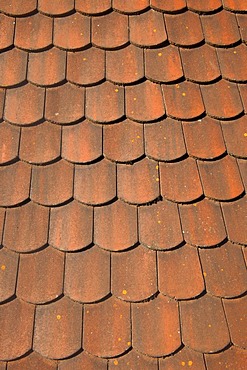 Biberschwanz roofing tiles