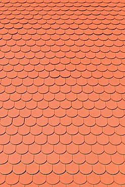 Biberschwanz roofing tiles