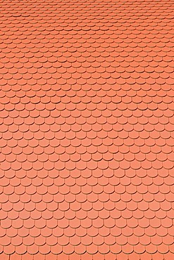 Biberschwanz roofing tiles