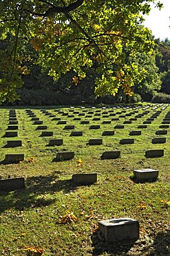 Headstones, Italian military cemetery, Munich, Bavaria, Germany, Europe