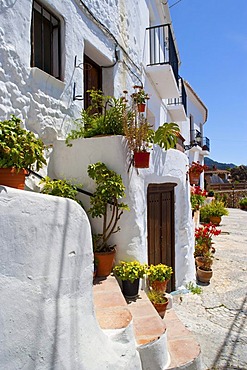 Houses in the town of Frigiliana, Andalusia, Spain, Europe