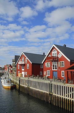 Typical red houses and fishing boats, blue sky and white clouds above, in HenningsvÃŠr, Lofoten, Nordland, Norway, Europe