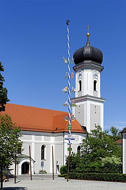 Parish Church of St. Vitus, Au, Hallertau, Upper Bavaria, Bavaria, Germany, Europe