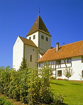 St George collegiate church, Oberzell, Lake Constance, Baden-Wuerttemberg, Germany, Europe