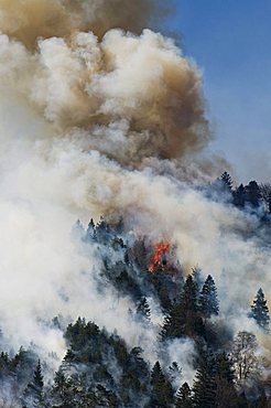 Forest fire in the Karwendel region near Innsbruck, Tyrol, Austria