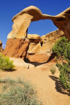 Hoodoos at Devils Garden, Grand Staircase Escalante National Monument, Utah, USA, North America