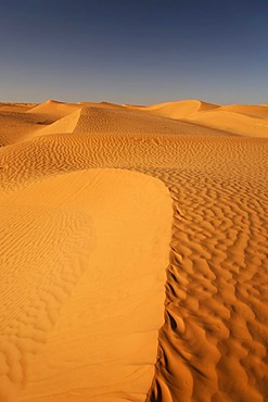 Desert landscape in the Sahara near Ksar Ghilane, Tunisia, Maghreb, North Africa, Africa