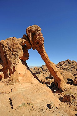 Elephant Rock in the evening light, Valley of Fire, Nevada, USA