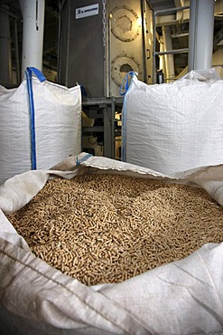 Production of wood pellets for heating, at the WestPellets company in Titz, North Rhine-Westphalia, Germany, Europe