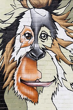 Head of an orang-utan, graffiti on the wall of the Cologne Zoo, Cologne, North Rhine-Westphalia, Germany, Europe