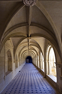 Medieval cloister, Abbaye de Fontevraud abbey, Aquitaine Romanesque, built from 1105 to 1160, Fontevraud-lÃ­Abbaye, Loire Valley near Saumur, Maine-et-Loire, France, Europe