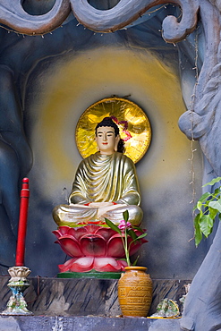 Buddha statue, Quoc Tu Pagoda, Ho Chi Minh City, Saigon, Vietnam, Southeast Asia, Asia