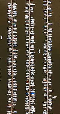 Aerial view, rows of boats, marina, sailing harbour, Hamburger Yachthafen-Gemeinschaft e.V. association, Wedel, Schleswig-Holstein, Germany, Europe