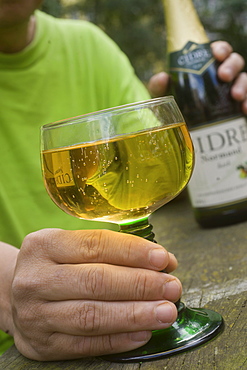 Hand holding a glass of cider