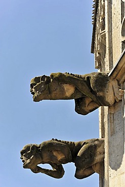 Gargoyles, Heilig-Kreuz-Muenster, Holy Cross Minster, start of construction in 1315, Schwaebisch Gmuend, Baden-Wuerttemberg, Germany, Europe