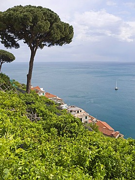 Coast at Amalfi, Costiera Amalfitana or Amalfi Coast, UNESCO World Heritage Site, Campania, Italy, Europe