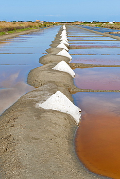 Salt Marsh, Loix, Ile de Re island, Departement Charentes Maritime, France, Europe