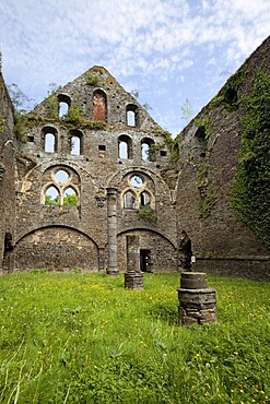 Ruins of the Cistercian Abbey of Villers, Villers-la-Ville, province of Walloon Brabant, Wallonia, Belgium, Europe